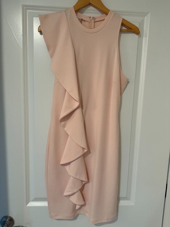 VENUS Dresses & Skirts - Venus Ballet Blush Pink Dress with Ruffle